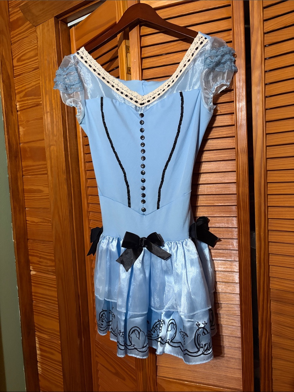 Vintage ALICE IN WONDERLAND COSTUME - Picture 2 of 6